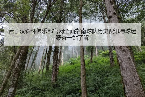 诺丁汉森林俱乐部官网全面指南球队历史资讯与球迷服务一站了解